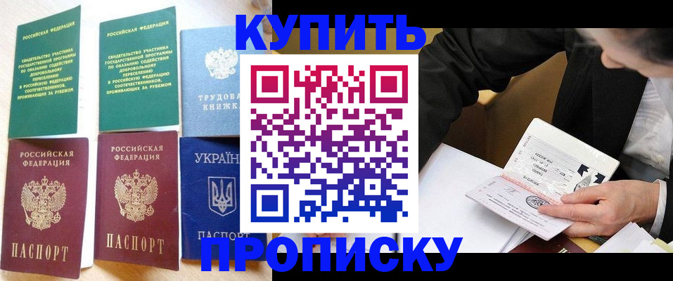 прописка для школы в Шадринске